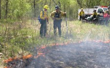 A blackened area is ringed by small orange flames as firefighters watch