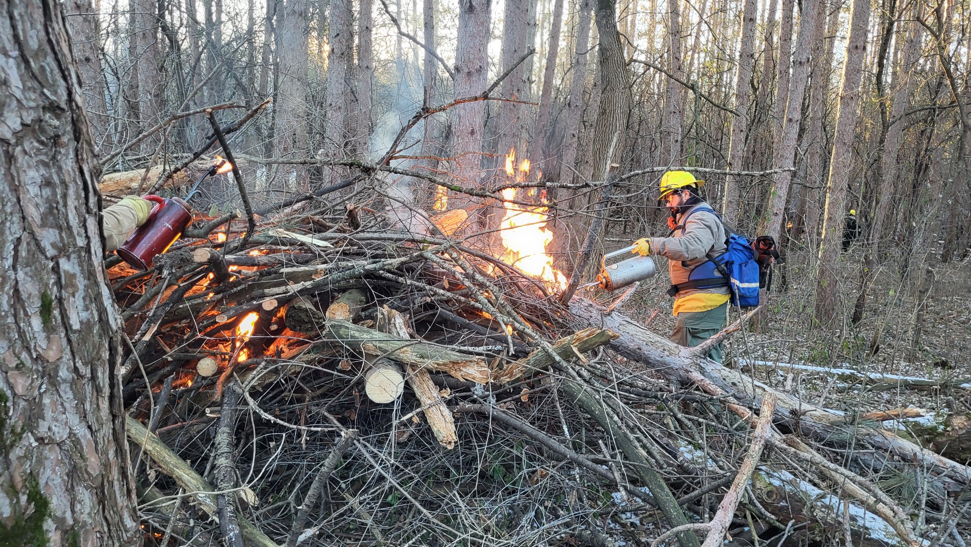Park staff wearing protective equipment igniting a large pile of branches and sticks.
