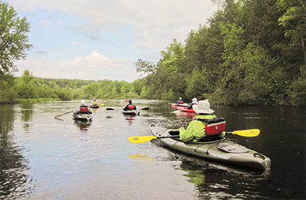 People in kayaks paddle through a wooded landscape.