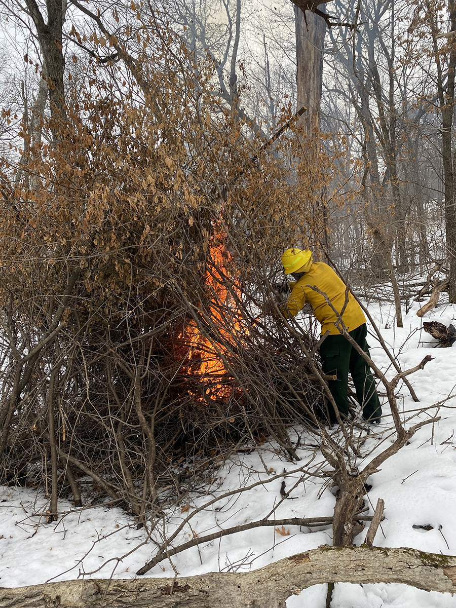 NPS Staff Pile Burning NPS Staff in fire gear starting fire on pile of sticks and small tree limbs.