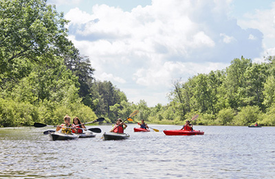 A group of kayakers paddle on a river.