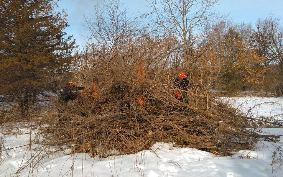 firepic In a snow-covered field, two National Park Service employees light a large pile of brush on fire.