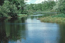 namekagon river