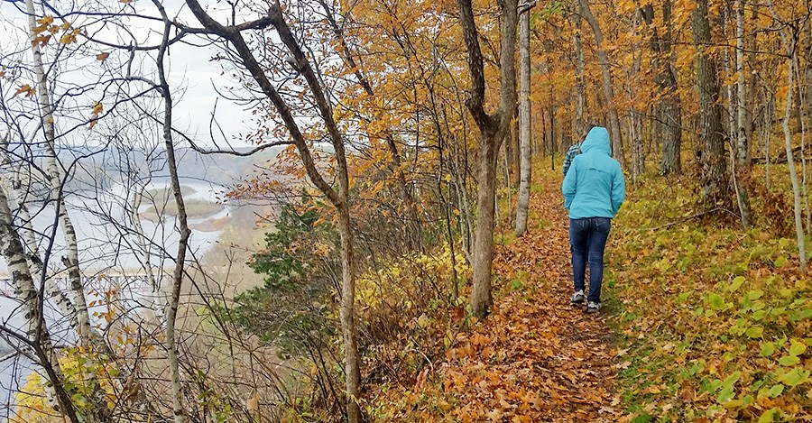 People walk on a trail through an autumn forest.