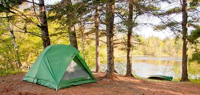 A green tent sits under big trees next to a river.
