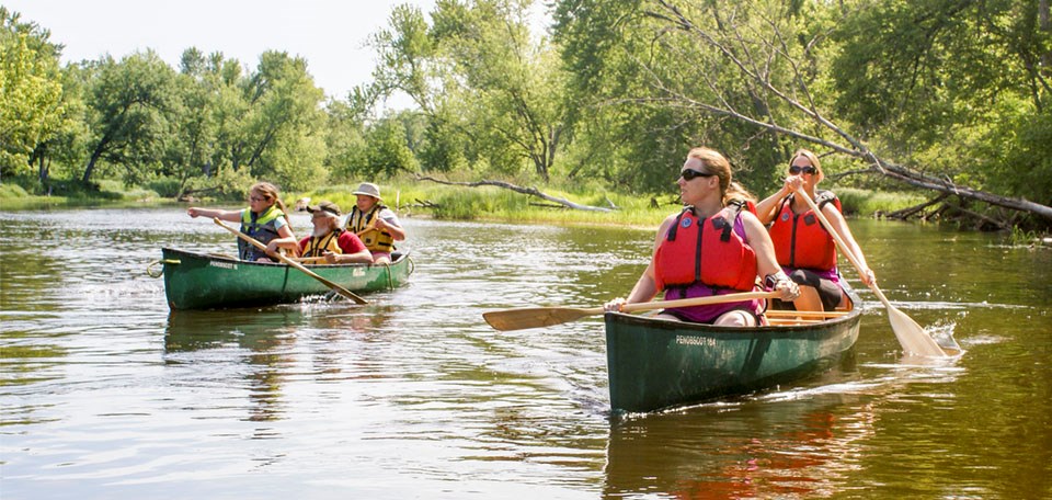 People in two canoes paddle and point towards sightings on a river.