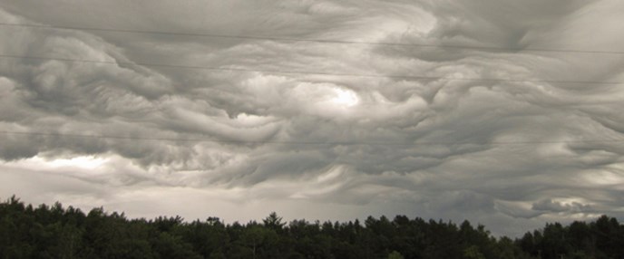 Storm clouds over dark trees.