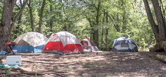 Colorful tents sit under trees.