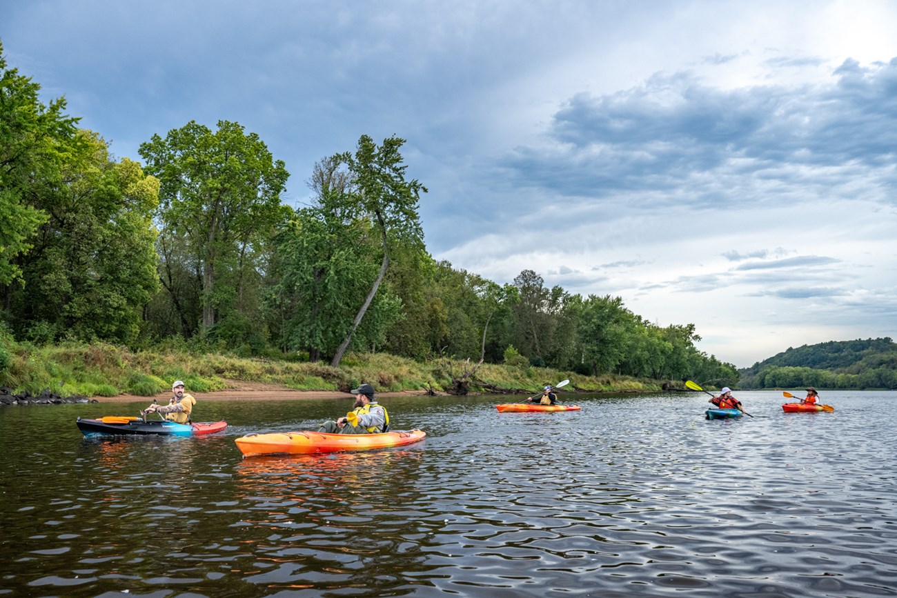 A park ranger in a kayak leads a group of paddlers down a scenic portion of a river lines with trees.