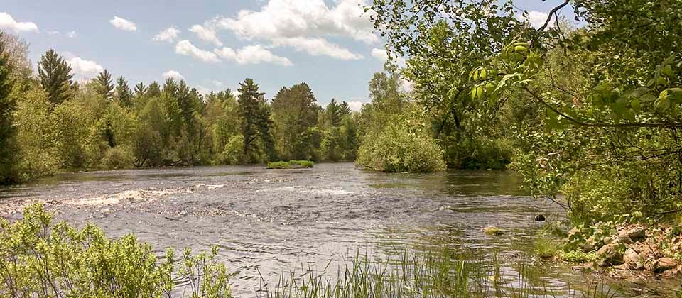 A fast moving river flows in a forested landscape.