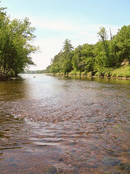 A shallow river flows over a rocky bottom.