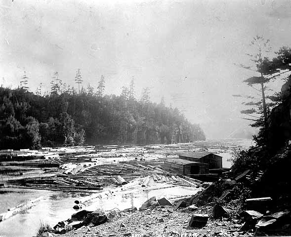 An image taken in the Dalles late in the logging era, showing a wannigan amid a river full of St. Croix logs. MNHS photo