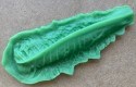lettuce leaf