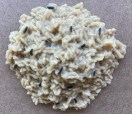 wild rice