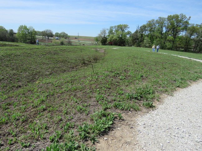 People walk along a trail that has a curve, through a prairie.