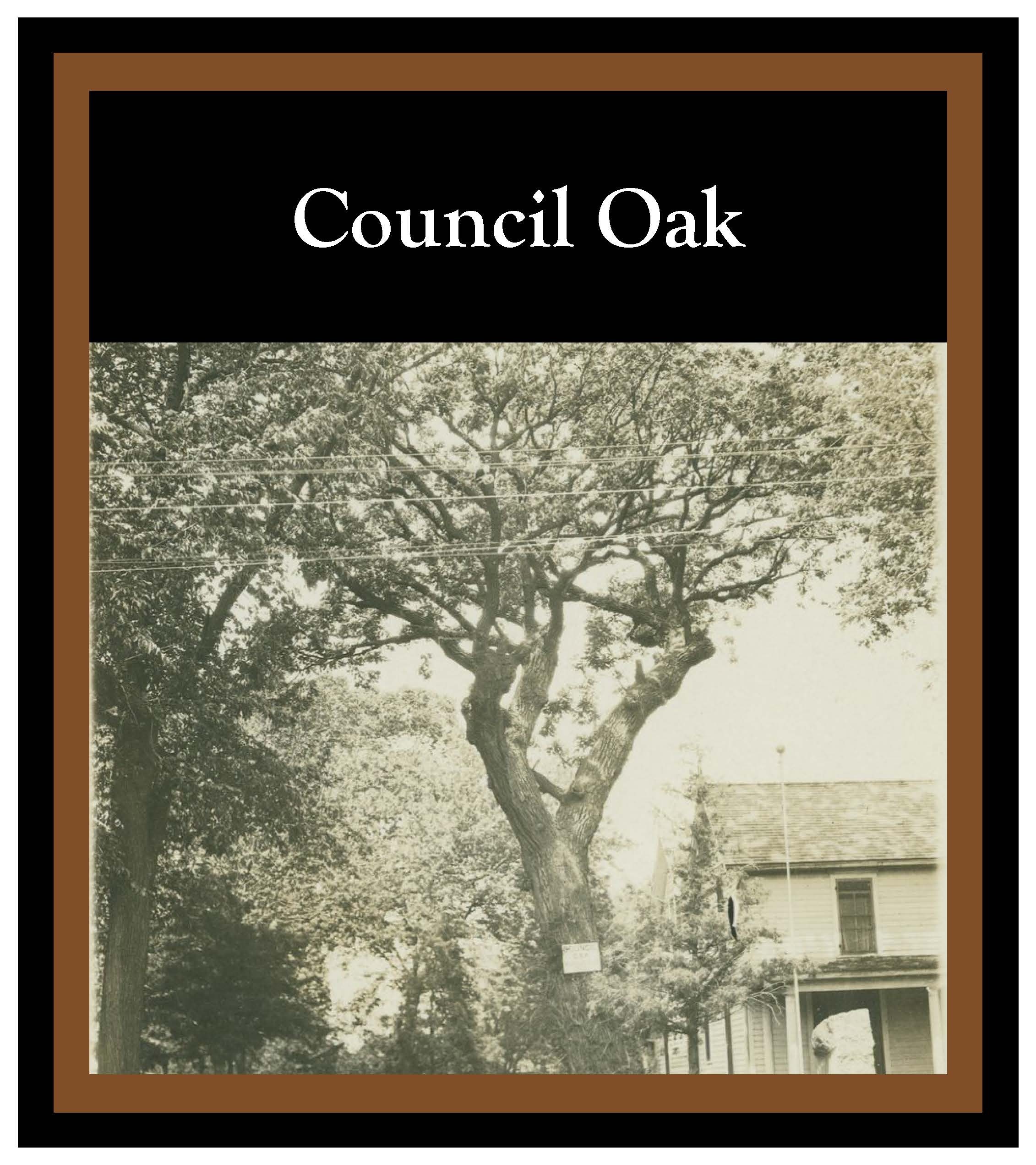 Historic building image. Full audio description available.