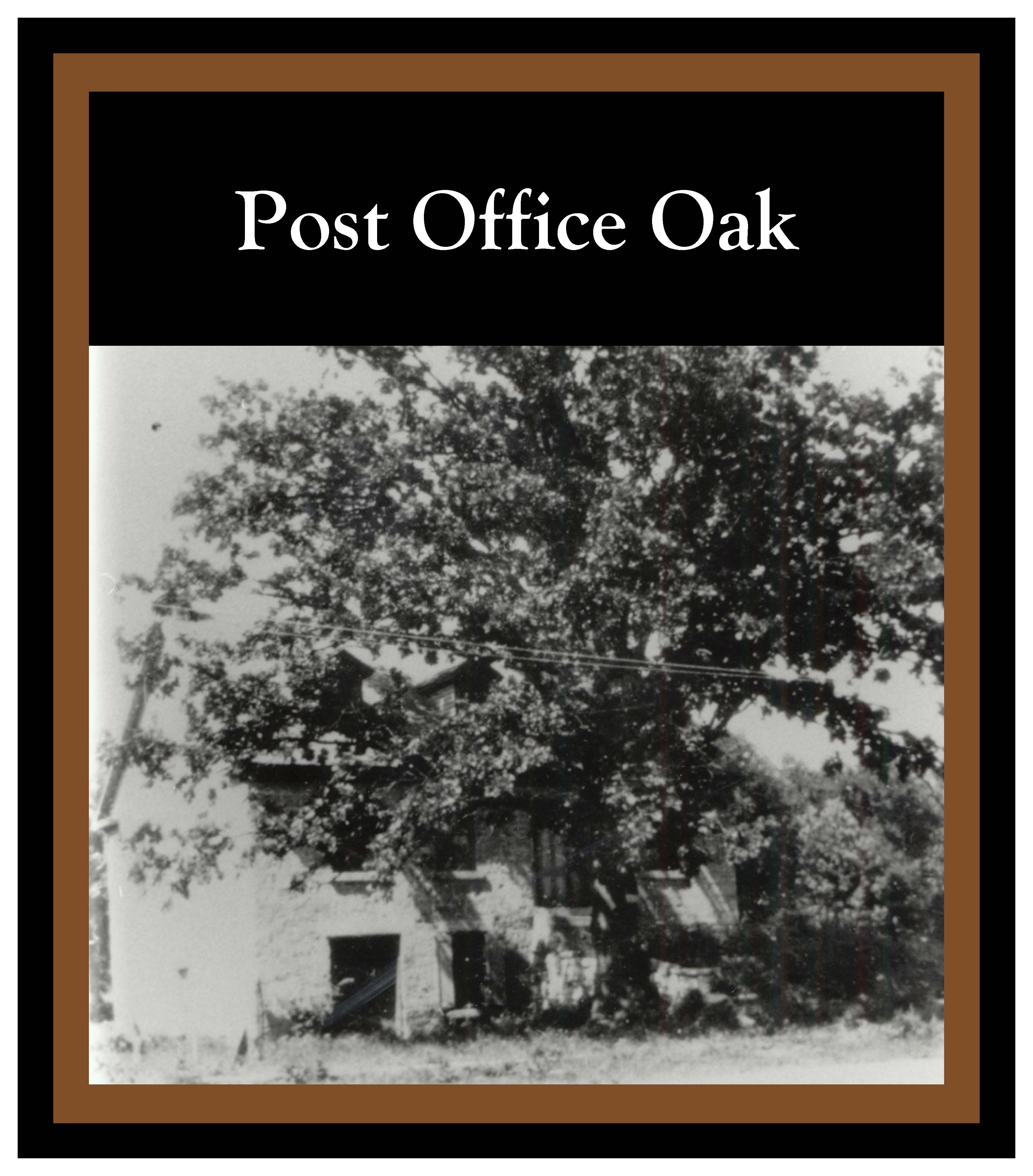 Historic Image description. Full audio description available.