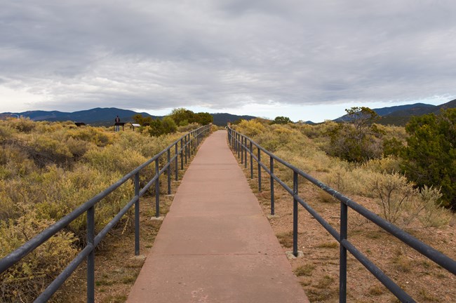 A path leads through a riparian area.