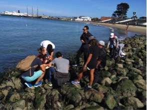 Community BioBlitz in progress on National Public Lands Day September 30, 2017