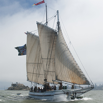 Alma Sail For Report Alma on SF Bay