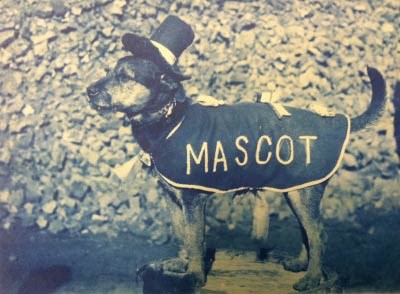 A small dog standing and wearing a coat with the words MASCOT written on it and a jaunty hat on his head.