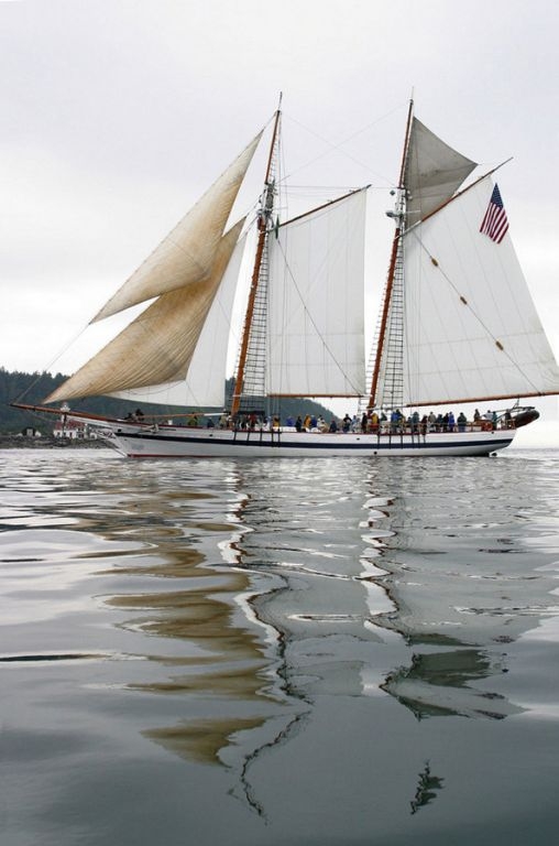 The BILL OF RIGHTS, a 136-foot wooden schooner on the water with sails raised.