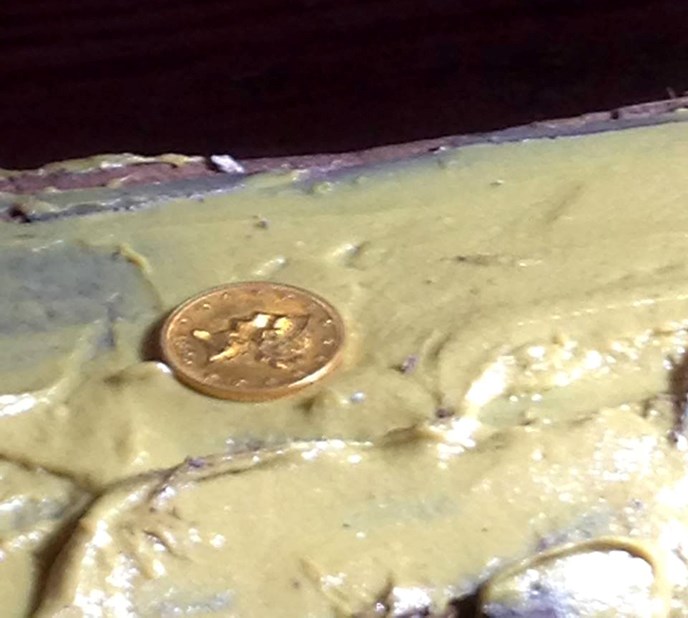 A gold coin sitting on bedding compound.