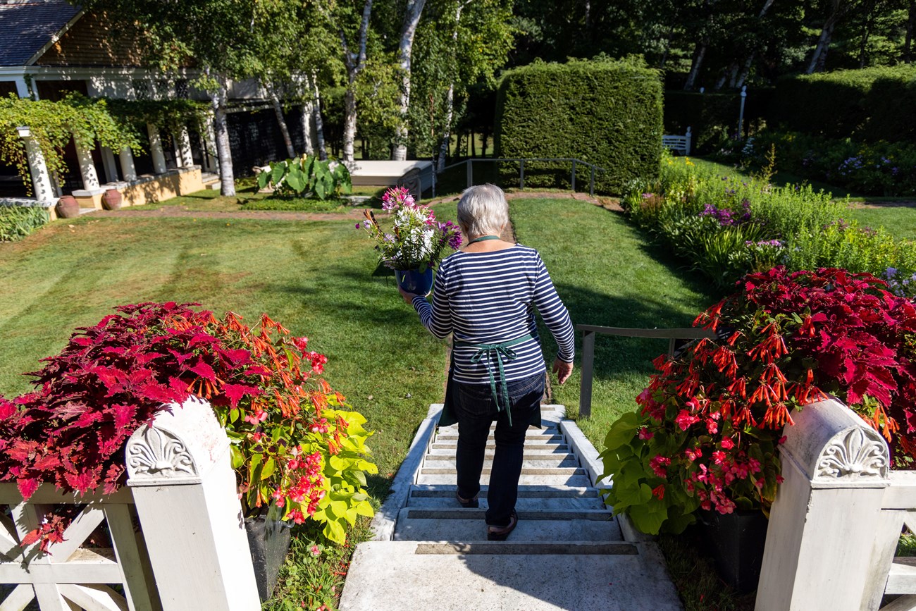 volunteer carries bouquet of flowers through garden