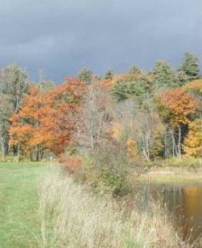 Fall colors at the Blow-Me-Down Pond, Saint-Gaudens National Historic Site Fall colors at the Blow-Me-Down Pond, Saint-Gaudens National Historic Site