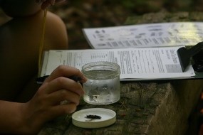 Water quality testing