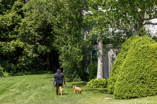 person walks leashed dog on park grounds