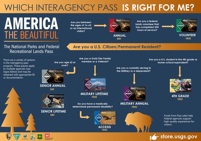A decision tree to assist people deciding which entrance pass to get.