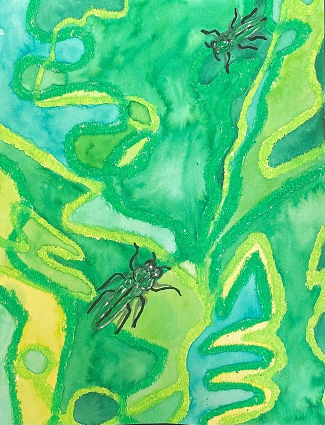 artwork of two beetles on bright green background