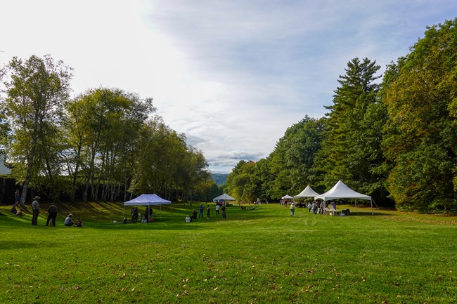 large lawn with trees on either side with pop up tents in background