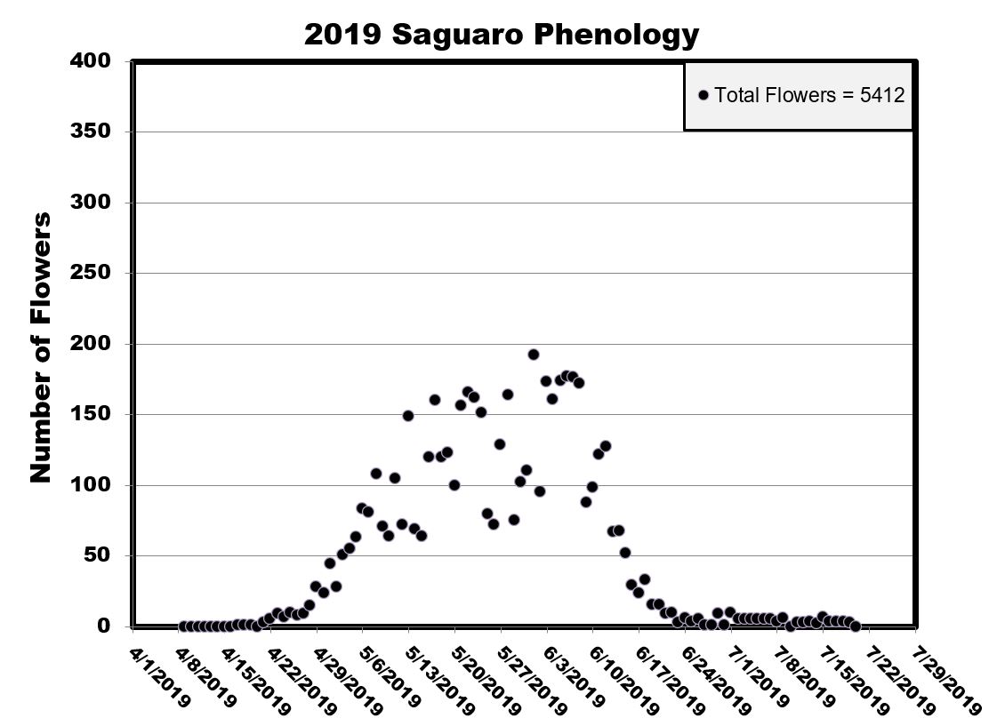 Scatterplot of flower numbers for 2019.