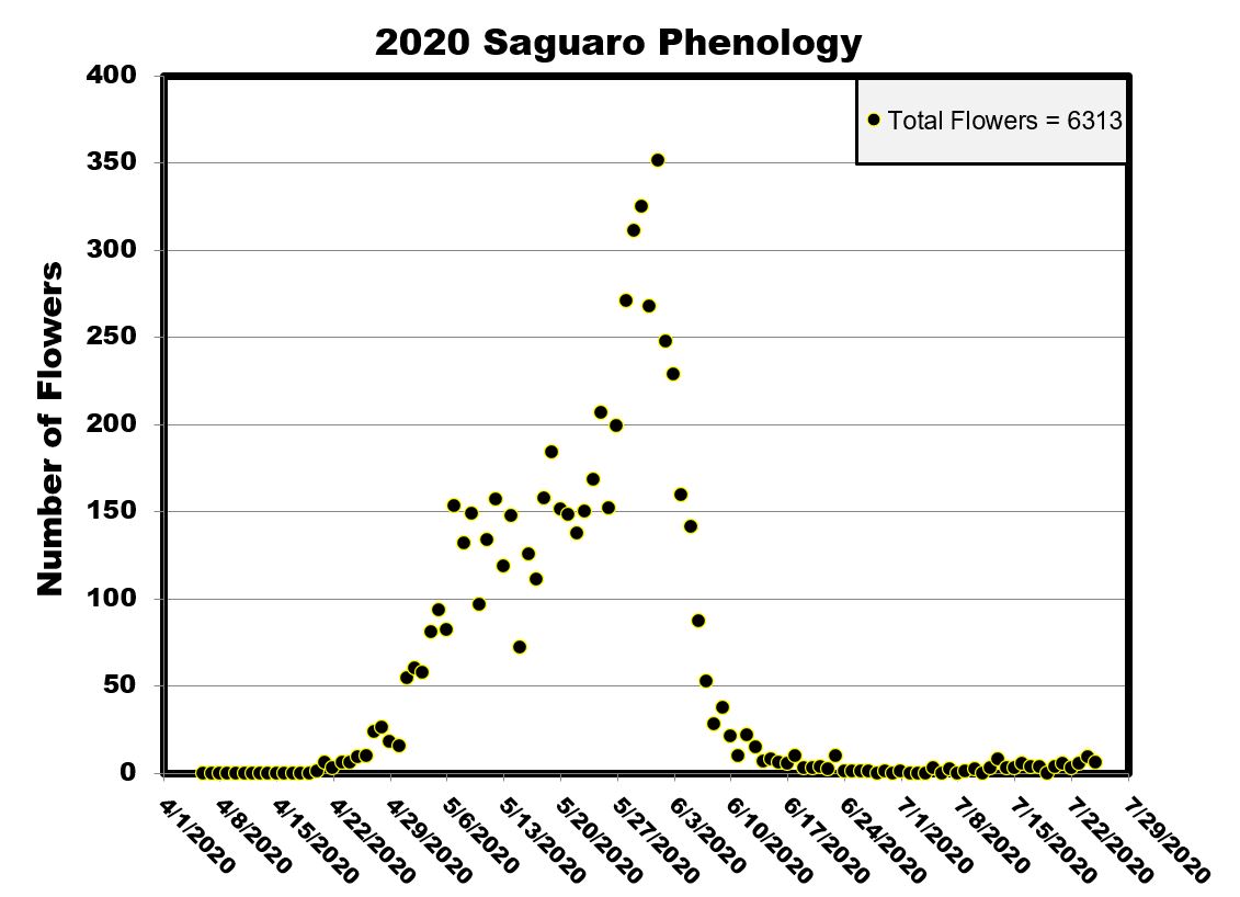 Scatterplot of flower numbers for 2020.