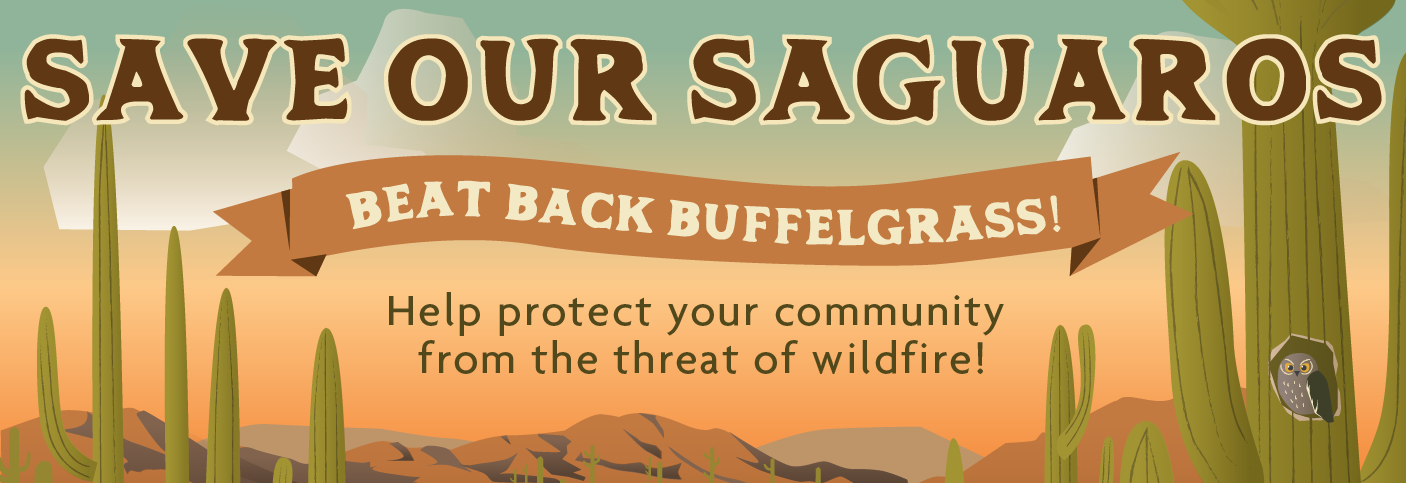 BBB no date website-02 Beating Back Buffelgrass Image