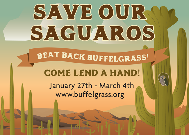 Save Our Saguaros Save Our Saguaros