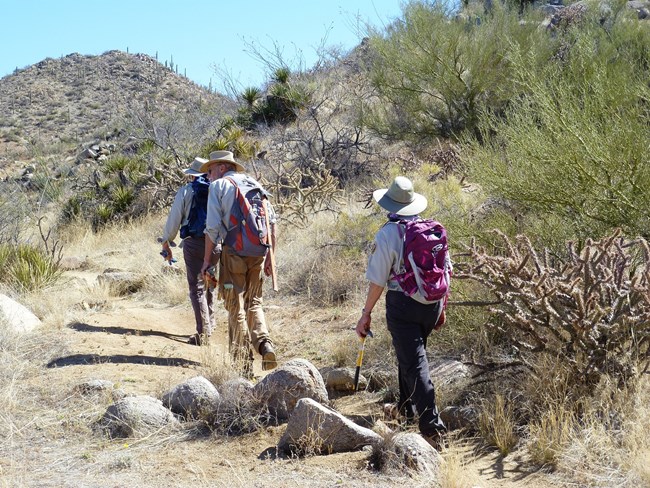 Weed Free Trail volunteers looking for buffelgrass - Copy