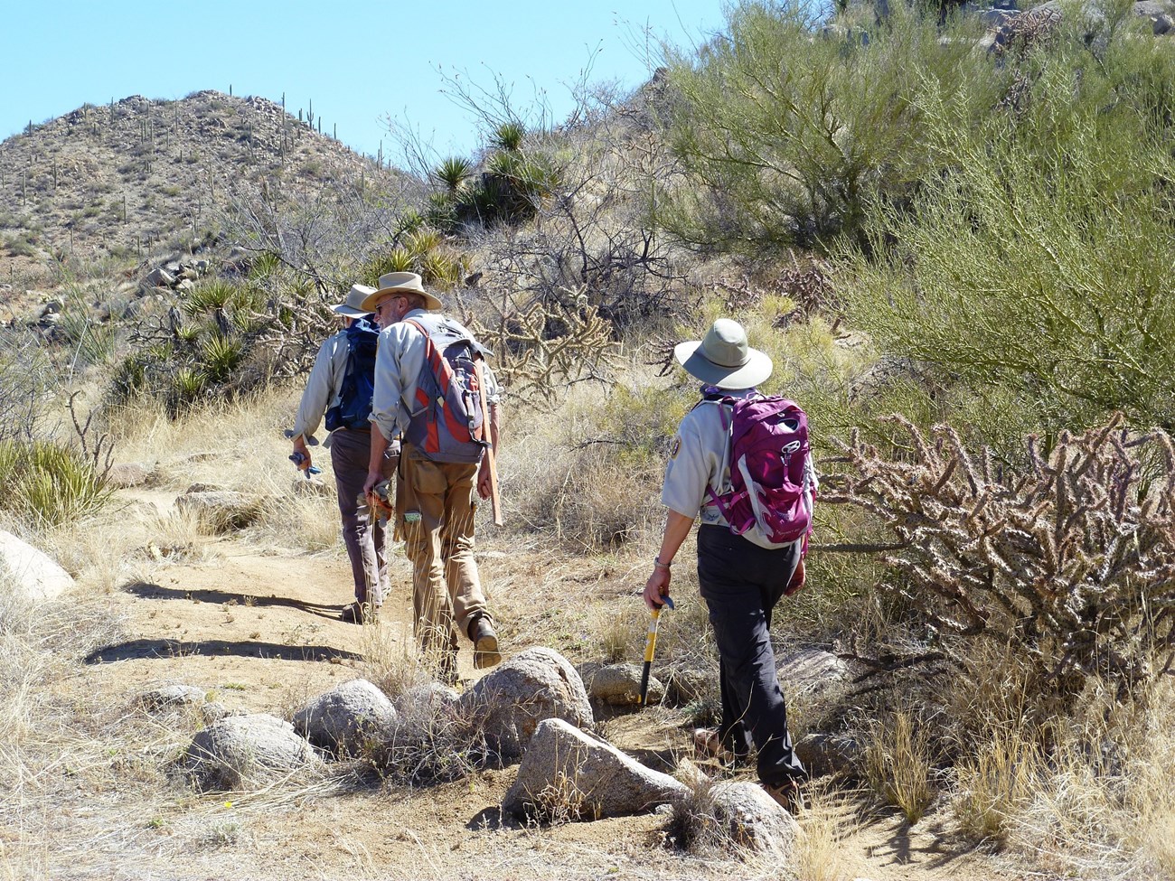 Weed Free Trail volunteers looking for buffelgrass