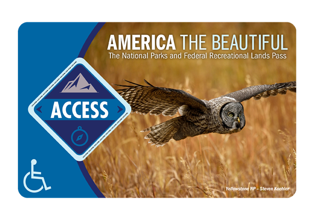 Access Pass 2018