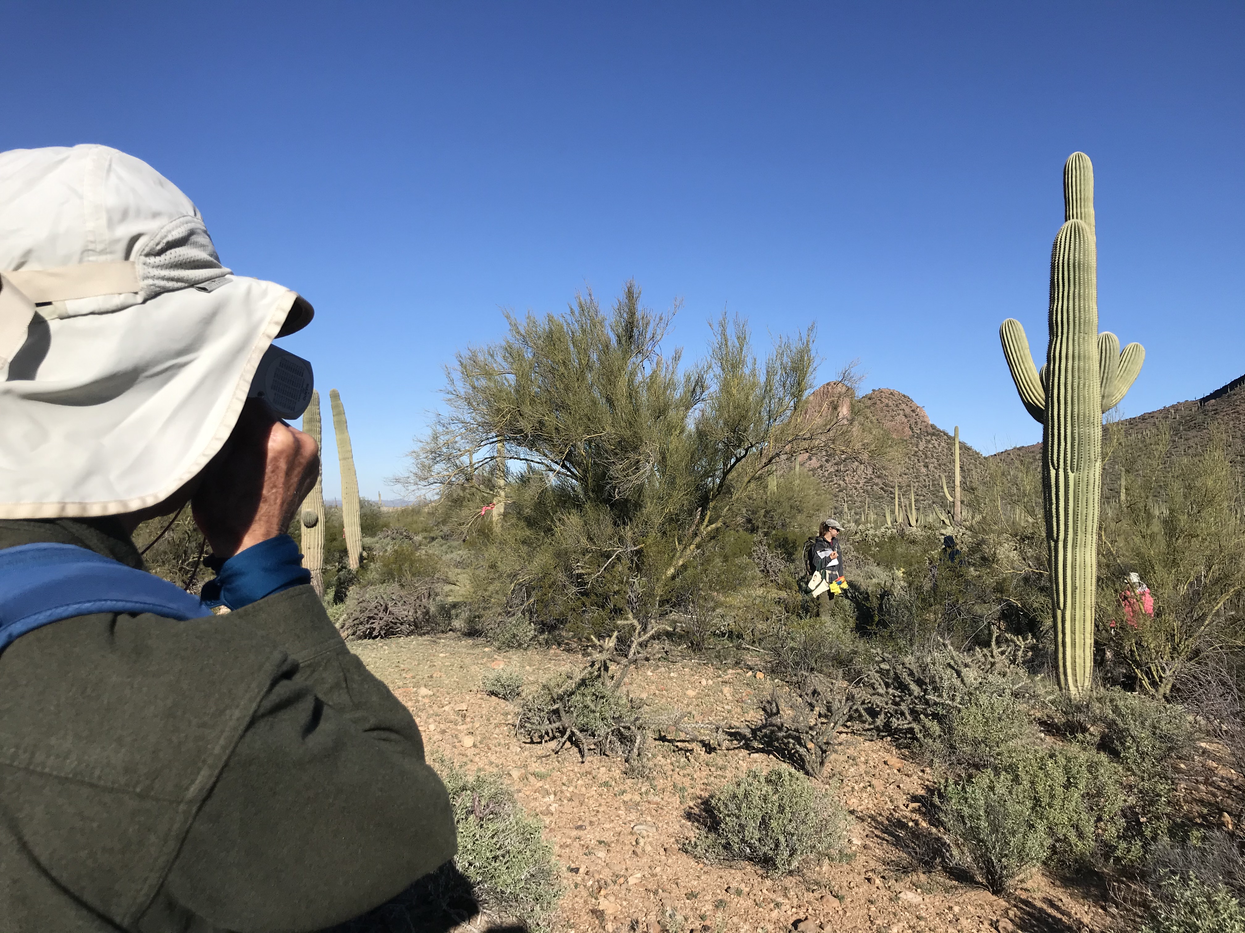 Volunteers work together to collect field data
