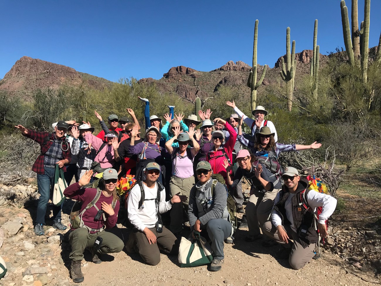 Tucson Mountain Hiking group photo saguaro pose