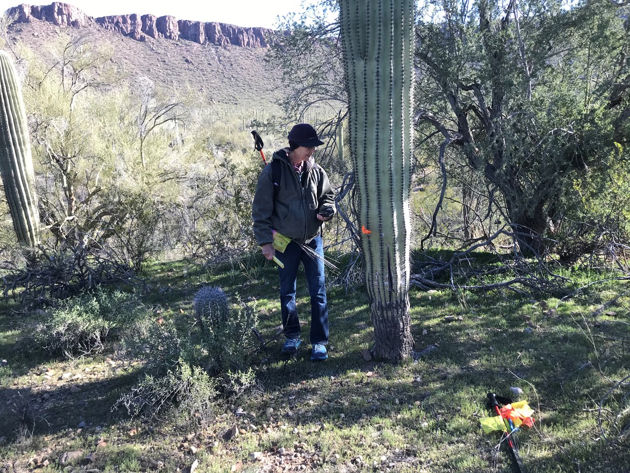 Volunteer uses GPS to collect data