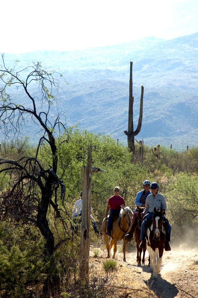 horseback riders