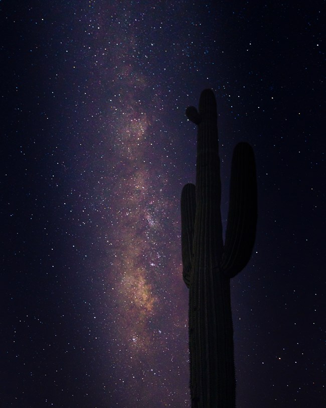 A tall Saguaro Silhouette stands in the right of the image. It is backlit by a sky full of stars and a bright milky way stretching vertically in the sky.