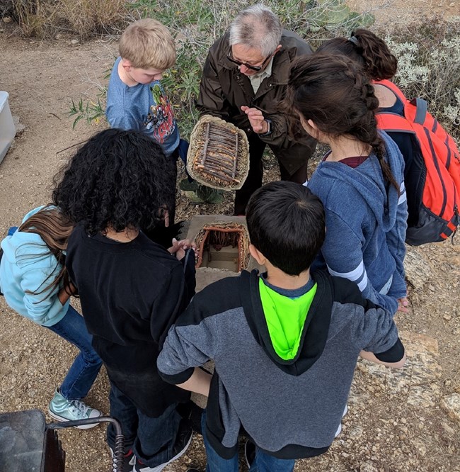 Volunteer shows students a Hohokam pithouse model