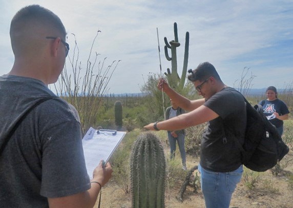 Students measure and record saguaro's observations. Students measure and record saguaro's observations.