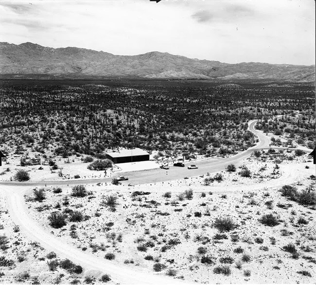 An old black & white photo shows an aerial view of the historic visitor center. A small rectangular building set in a vast area of cacti and other desert flora.