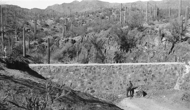 Large Earthen Dam